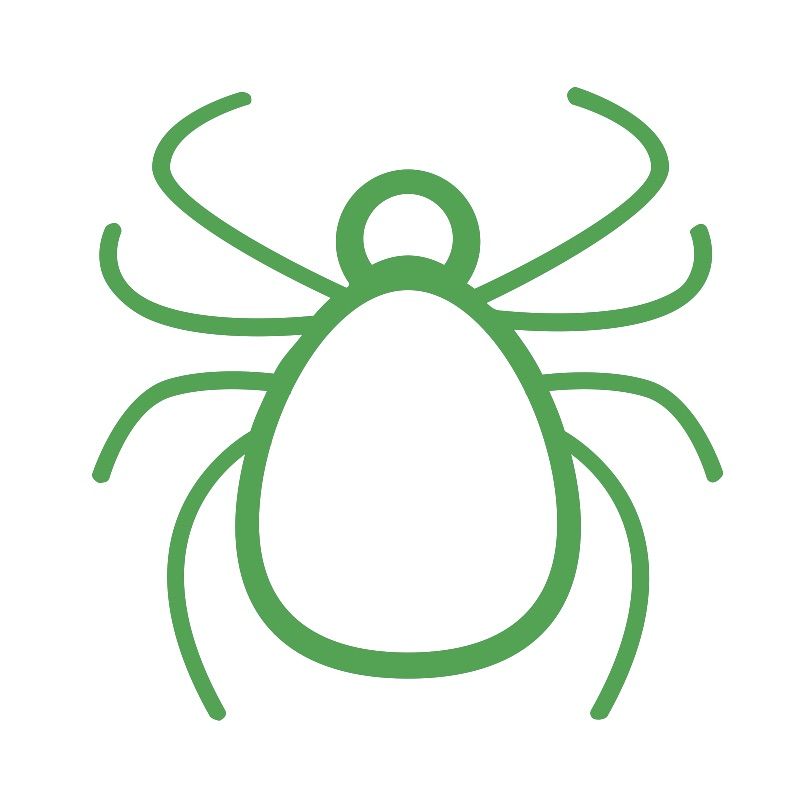 Fleas, ticks and worms
