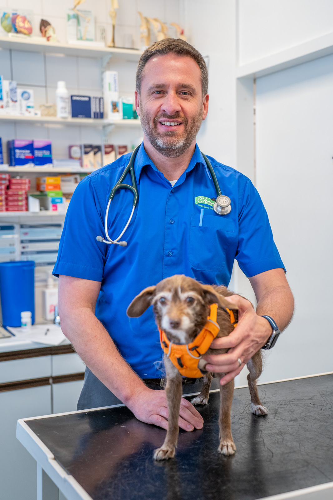 The Willows Veterinary Group - Newcastle (Web) 029
